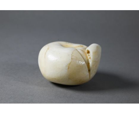 A 19th century Japanese marine ivory okimono/netsuke naturalistically carved as a satsuma, Meiji period (1868-1912) 5 cm wide