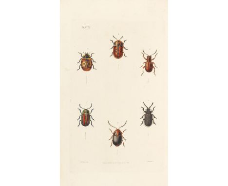 James Francis Stephens   Illustrations of British entomology, or a synopsis of indeginous insects: Haustellata (&amp;) Mandib
