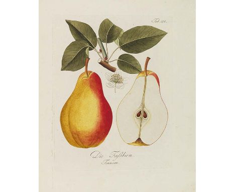 Johann Kraft    [Pomona Austriaca] - Abhandlung von den Obstbäumen, worinn ihre Gestalt, Erziehung und Pflege angezeigt und b