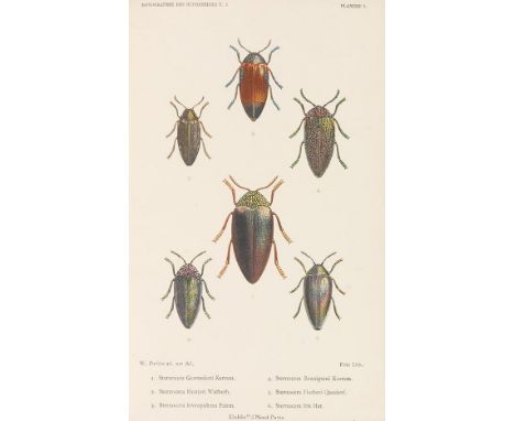 Charles Kerremans    Monographie de Buprestides. Band I-VII (alles Erschienene). Brüssel, J. Janssens u. a. 1906-1914. - Meis