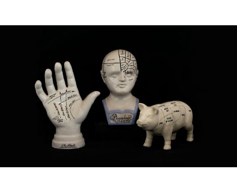 Antiqued - Collection of Ceramic Phrenology / Medical Items ( 3 ) Three In Total. Comprises 1/ Hand - Palmistry. 9 Inches Hig