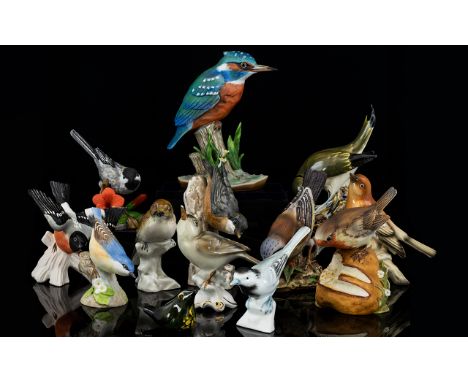 Collection Of Assorted Decortive Bird Figures . To Include Robin, King Fisher, Goebel Woodpecker Etc. 13 In Total Varies Size