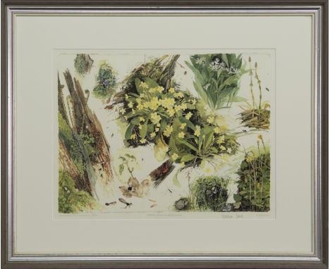 * VICTORIA CROWE OBE RSA RSW FRSE (SCOTTISH b. 1945), SPRING: FLOWERS IN A BORDERS WOOD limited edition lithograph on paper, 