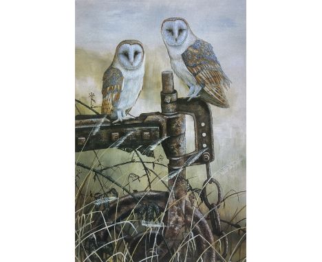 Robert E Fuller (British 1972-): Barn Owls, limited edition colour print signed and numbered 26/200 in pencil 23cm x 15cm