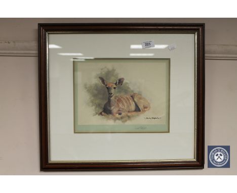 After David Shepherd : Young Kudu, colour print, signed in pencil, 28 cm x 22 cm, framed.