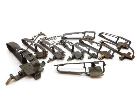 A collection of gin traps to include a Sprats round jaw trap, 4 inch, Gamekeepers toothjaw fox trap, and a Marshall's example