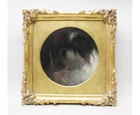 ATTRIBUTED TO MRS. AMY H. BRACKENBURY Portrait study of an Old English Sheep dog, an Oil on board, inscribed verso with name 