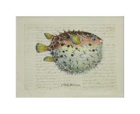 Italian School Hand Colored Engraving On 18th Century Manuscript. Visible date of 1726. Measures 12-1/4" x 16-1/2", frame mea