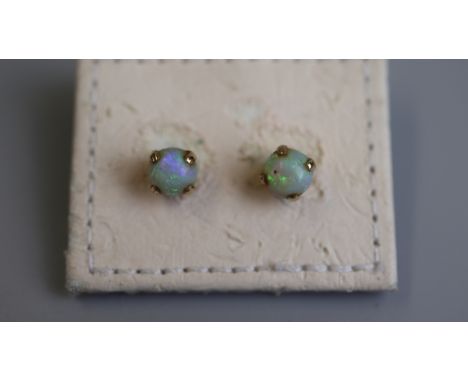 Gold opal set stud earrings 