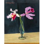 Adolf Köglsperger, Orchideen