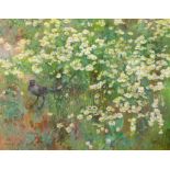 Jean-Bloé Niestlé, Coucas dans champ de marguerites