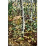 Karl Hagemeister, Birkenwald