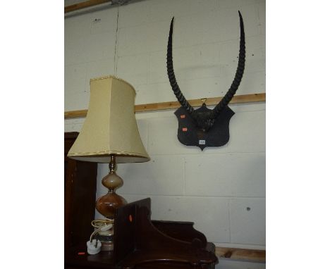 TAXIDERMY, set of horns on oak shield wall plaque, mahogany wall shelf and a table lamp with shade (s.d.) (3)