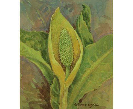 Gordon Beningfield (British, 1936 - 1998) "Yellow Skunk Cabbage" Signed lower right. Original Watercolor painting on Illustra