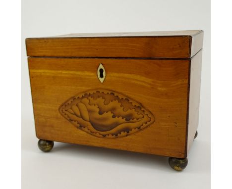 Antique English Satinwood and Boxwood Inlay Shell Motif Tea Caddy. Ball feet, bone escutcheon. Painted interior. Light wear o
