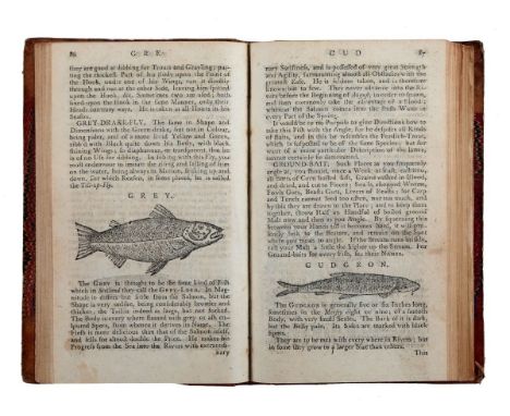 Brookes Richard. The Art of Angling in Two Parts... London: Printed for W. Lowndes, 1790.In-8° (mm 164x97). Pagine viii, 268,