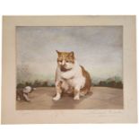 Lambert Weston Folkestone signed Cat print "Pepper" mounted, measures 15x12 inch appx. Single item