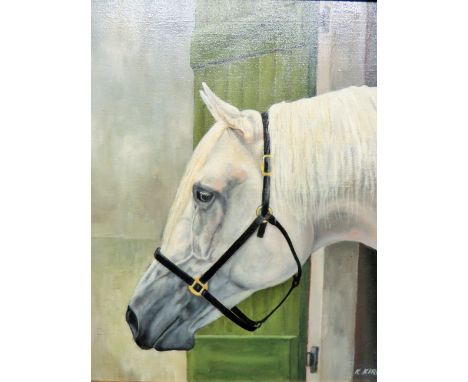 Beautifully Painted Oil on Board of a White horse's Head.  Mounted in a Gold painted frame which measures 19 x 16 Inches.  Be
