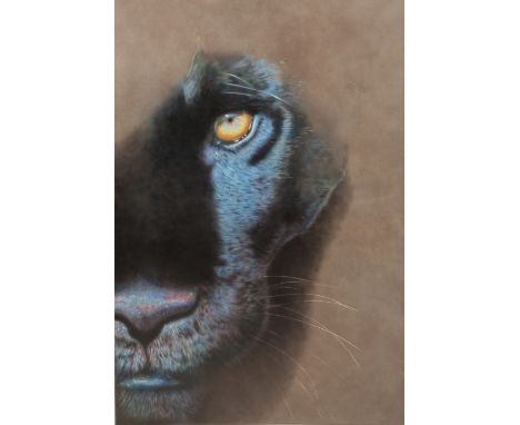 Mark Evans ARR Hand etched leather panel, signed with monogram 'Black Panther' 75cm x 55cm  Provenance: Purchased directly fr