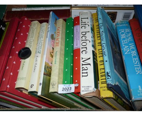 A box of books including Life before Man, Royal Worcester porcelain, etc.  
