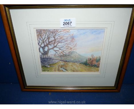 A small framed Watercolour of a country landscape with mountain in distance, signed lower left K. Foster, 13 1/2'' x 11 1/2''