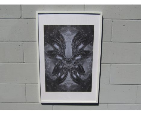 DAN HILLIER (b.1973) A framed limited edition poster print, signed and individually numbered from an edition of 250. 69cm x 4