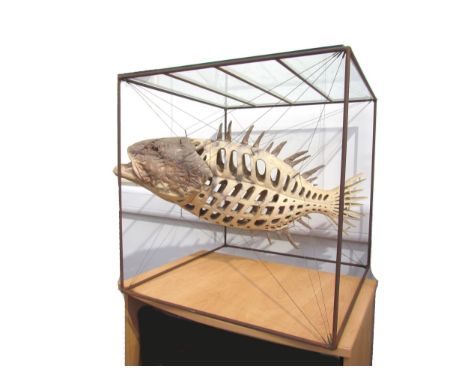 A late 20th Century ceramic sculptural figure of a Grouper fish, suspended diagonally by metal wires in a metal rod cage, gla