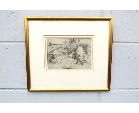 A framed and glazed lithograph after Harry Becker (1865-1928) Sheep in a pen. Unsigned. Plate size 13.8cm x 20cm Purchased at