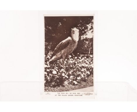 Postcards, Sudan a fine collection of approx 100 cards inc, Khartoum, blue Nile, villages, historic buildings, animals, hippo