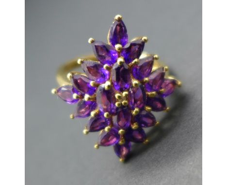 A silver gilt set, amethyst and diamond cluster ring, Q