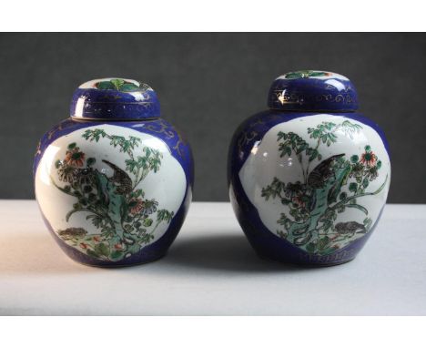 A pair of 19th century Chinese hand painted porcelain lidded ginger jars. Decorated with birds and flowers with royal blue gr