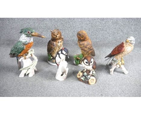 A collection of six hand painted ceramic bird figures. Including a Royal Crown Derby 'Brown Owl', a Goebel falcon and a porce