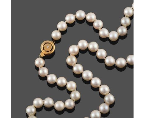 A Cultured Pearl Necklace, the fifty cultured pearls knotted to an 18 carat yellow gold circular clasp with an eight-cut diam