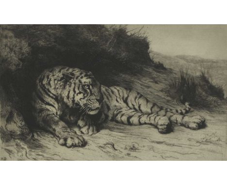 Herbert Thomas Dicksee RE (1862-1942) 'A SIESTA' (TIGER RESTING) Original etching on vellum, signed artist's proof, limited e