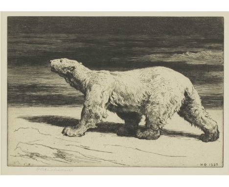 Herbert Thomas Dicksee RE (1862-1942) 'BEAR OF THE NORTH' (POLAR BEAR) Original etching on wove, signed artist's proof, editi