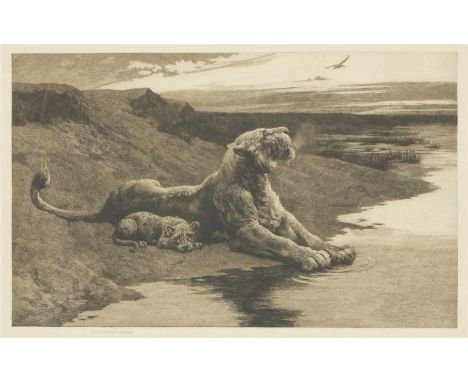 Herbert Thomas Dicksee (1862-1942) 'MATERNAL CARE' (WOUNDED LIONESS PROTECTING HER CUB FROM A CIRCLING VULTURE), AFTER HIS OW