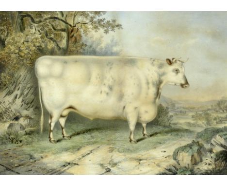 JOHN WEST GILES (FL 1830-1864) AFTER HENRY STRAFORD (FL 1833-1873) A SHORT HORNED PRIZE OX BRED AND FED BY THE RT HONBLE EARL