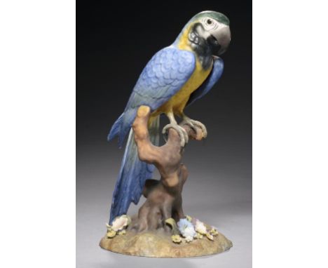 A ROYAL CROWN DERBY MODEL OF A MACAW, 1970 26.5cm h, printed mark, painted title and decorator's initials CJ, boxed++In fine 