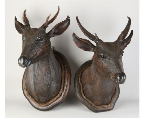 Two large walnut carved deer heads with glass eyes.&nbsp;First half 20th century.&nbsp;Dimensions: 50 - 60 cm.&nbsp;In good c