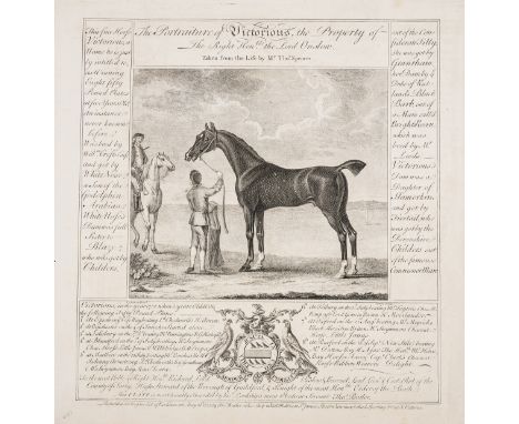 [Cheny (John) and Thomas Butler, publishers]. [Horses &amp; Their Pedigrees], 34 plates of racehorses engraved by H. Roberts,