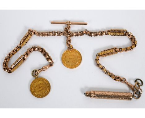 9CT GOLD NATIONAL DOG SHOW MEDALS &amp; GOLD CHAIN 2 9ct gold National Dog Show medals for 1904 Mrs H D Greene's Team of Wels