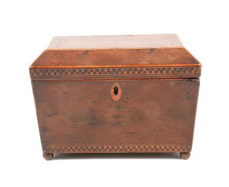 A Regency yew wood and parquetry banded sarcophagus-shape tea caddy, on three brass ball feet, width 19cm.