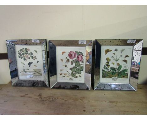  Sale Item:    3 MOSES HARRIS PLANT PRINTS (FRAMES AF)  Vat Status:   No Vat   Buyers Premium:  This lot is subject to a Buye