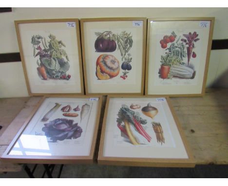  Sale Item:    5 VILMORIN VEGETABLE PRINTS   Vat Status:   No Vat   Buyers Premium:  This lot is subject to a Buyers Premium 