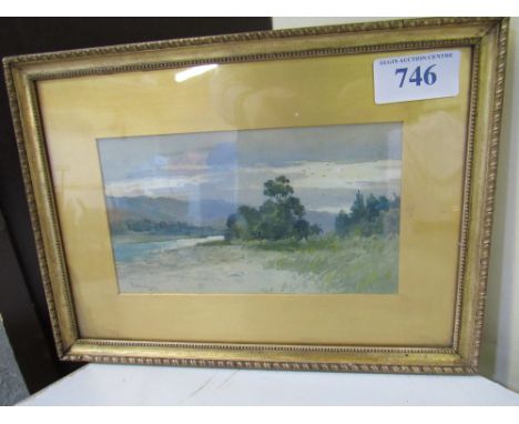 Sale Item:    W C PAINTING DEE BY T BUNTING   Vat Status:   No Vat   Buyers Premium:  This lot is subject to a Buyers Premiu
