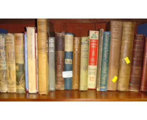 Shelf of books