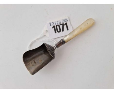 A caddy scoop with M.O.P handle, Birmingham 1888 by H&amp;T
