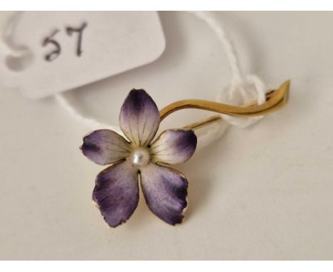 An Edwardian high carat gold enamel flower brooch, boxed