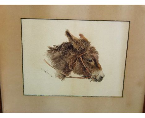 Albert George Stevens (1863-1925) - bust portrait of a donkey, signed, watercolour, 20 x 25cm, framed 