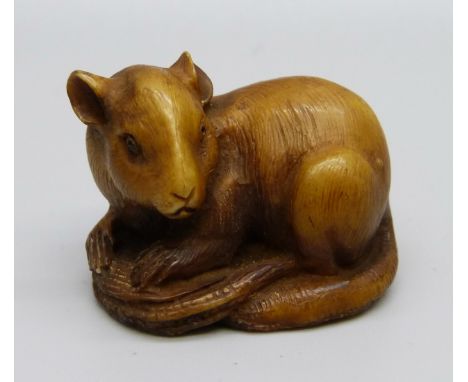 A carved horn netsuke of a rat 